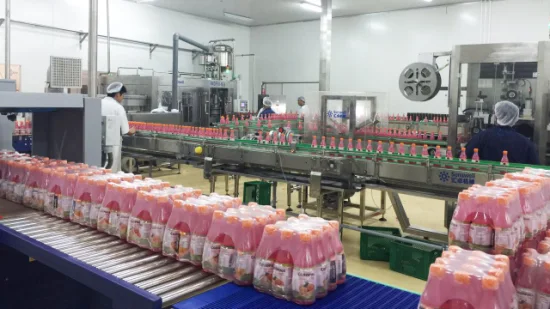 Автоматический комплексный завод по производству соков/целая производственная линия сока